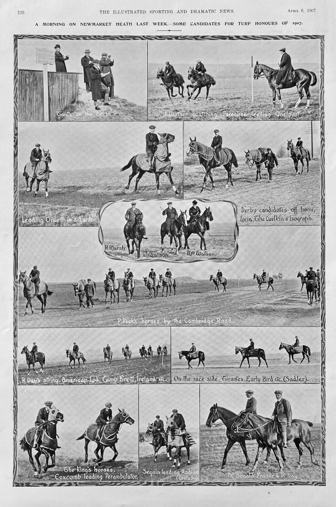 A Morning on Newmarket Heath Last Week. Some Candidates for Turf Honours of 1907.