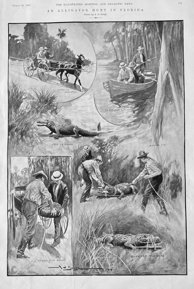 An Alligator Hunt in Florida.  1907.