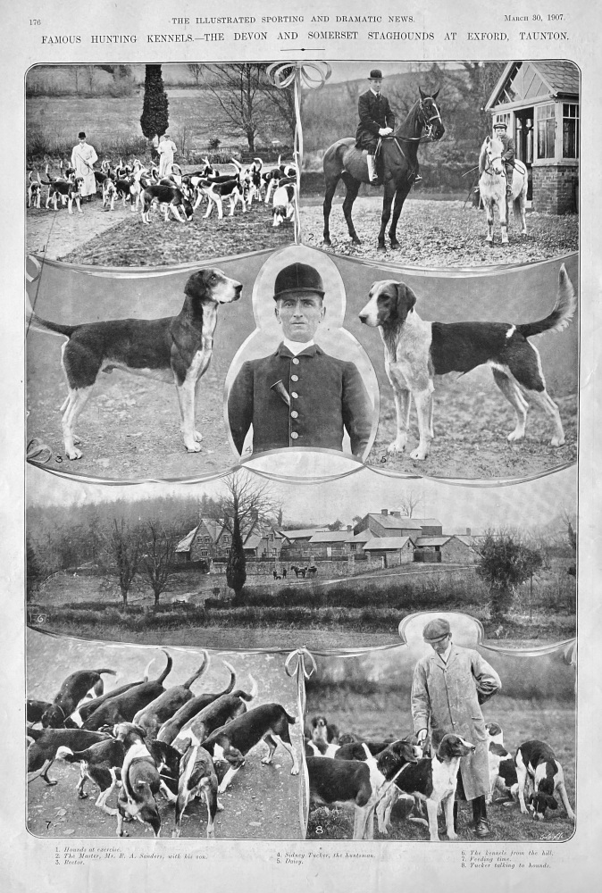 Famous Hunting Kennels.- The Devon and Somerset Staghounds at Exford, Taunton,  1907.