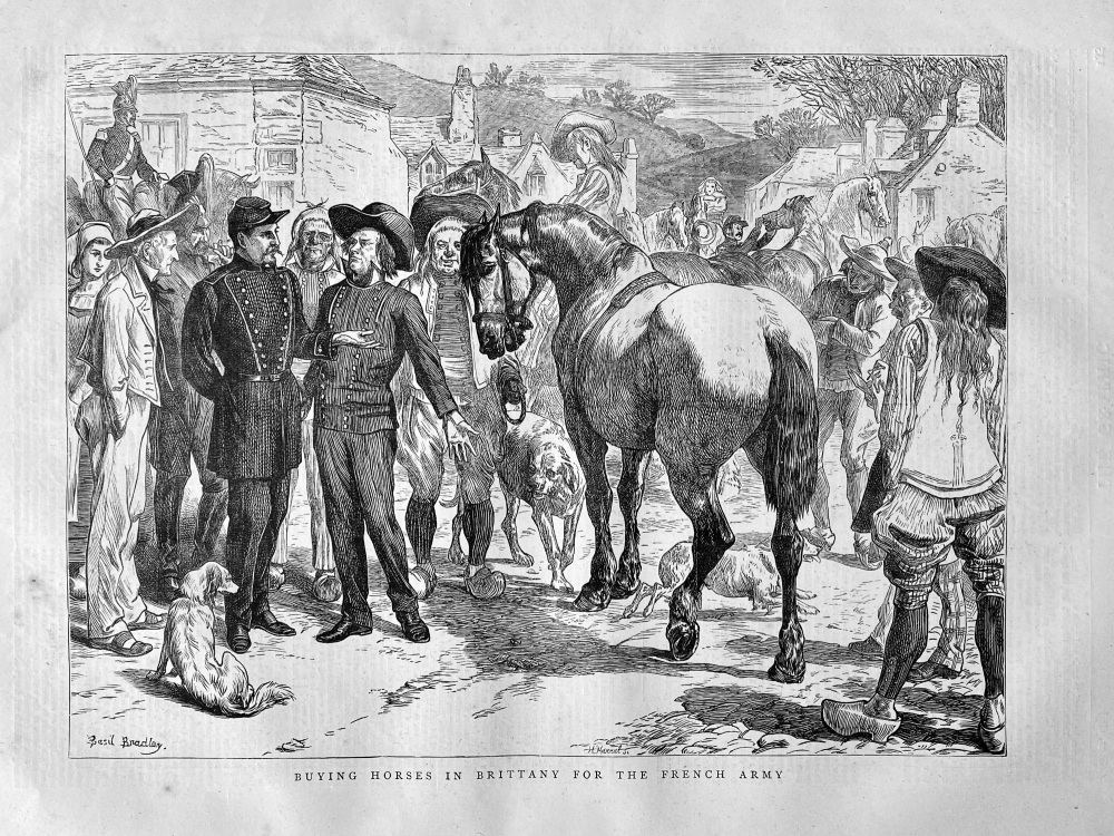 Buying Horses in Brittany for the French Army.  1871.