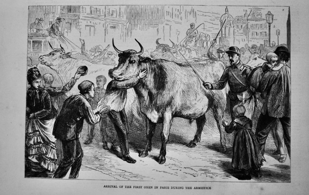 Arrival of the First Oxen in Paris during the Armistice.  1871.