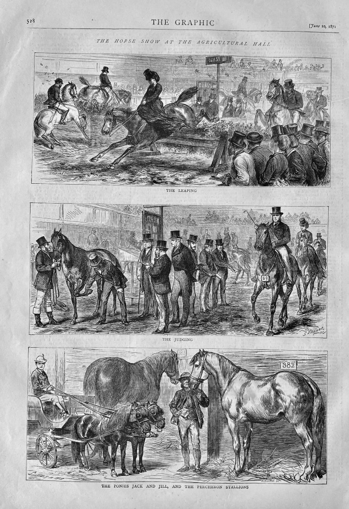 The Horse Show at the Agricultural Hall.  1871.
