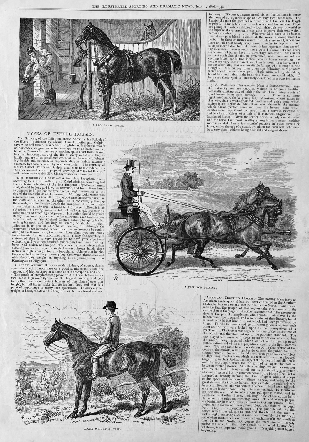 Types of Useful Horses.  1876.