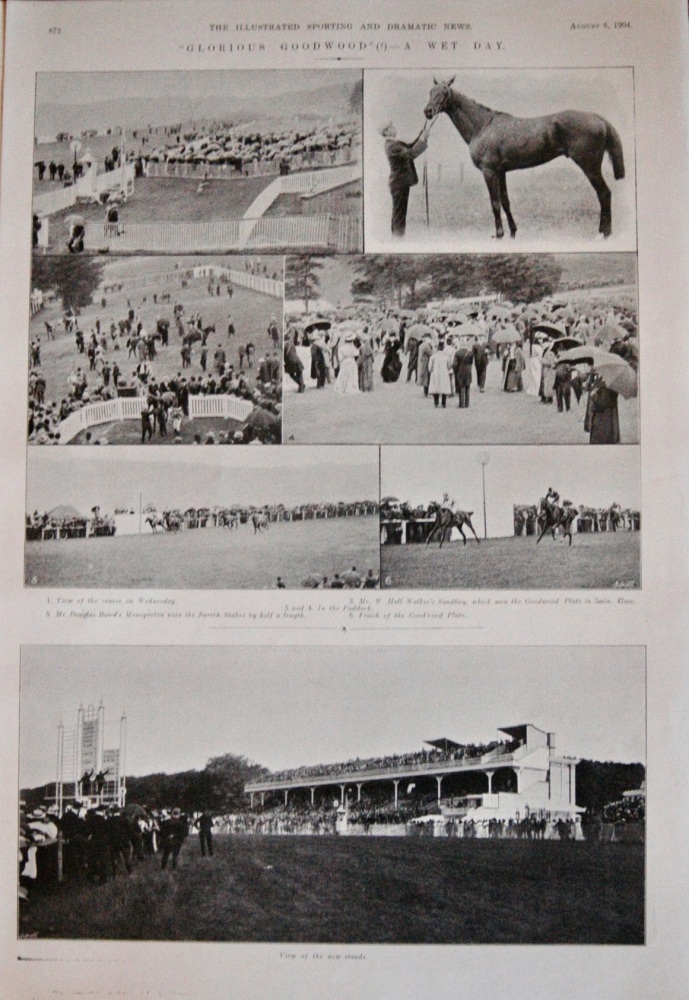 "Glorious Goodwood"? - A Wet Day - 1904
