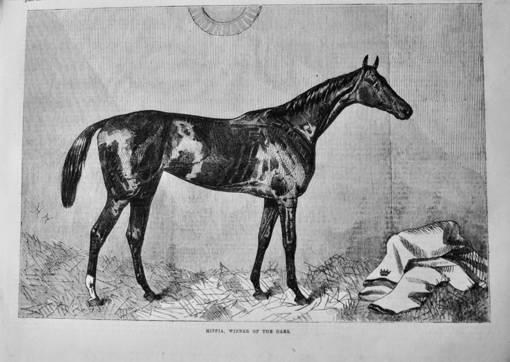 Hippia, Winner of the Oaks.  1867.
