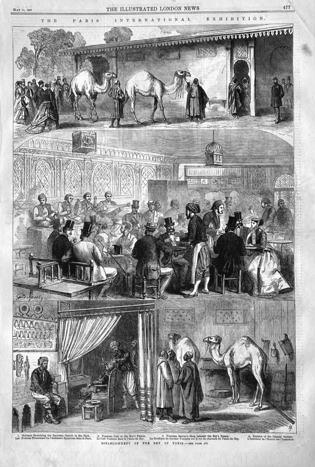 The Paris international Exhibition. Establishment of the Bay of Tunis.  186