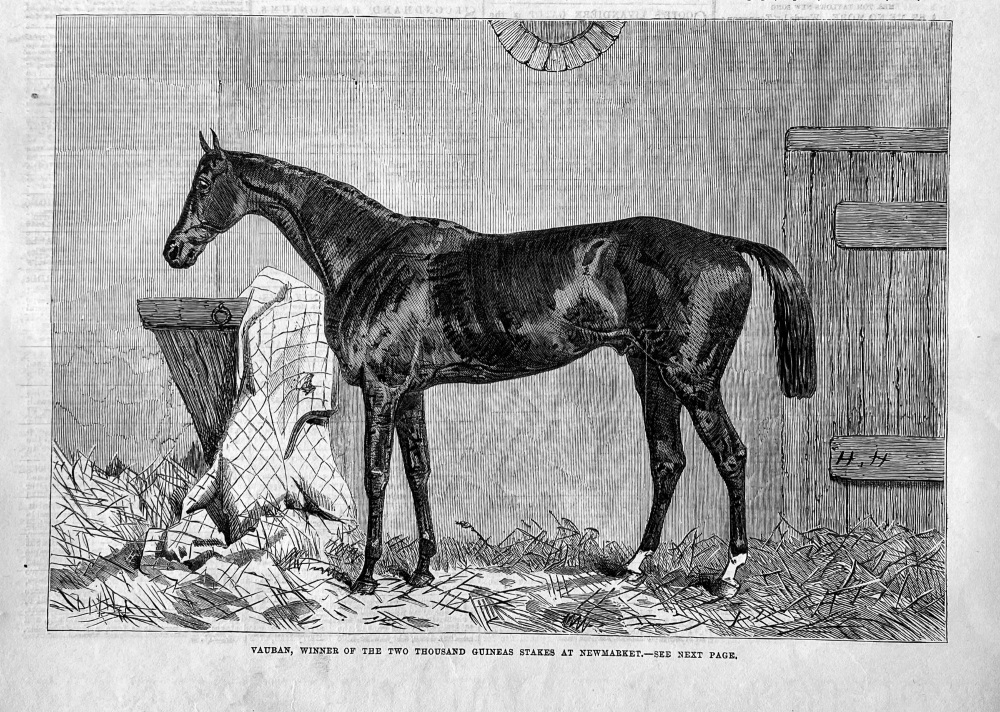 Vauban, Winner of the Two Thousand Guineas Stakes at Newmarket.  1867.
