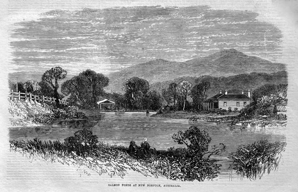 Salmon Ponds at New Norfolk, Australia.  1867.