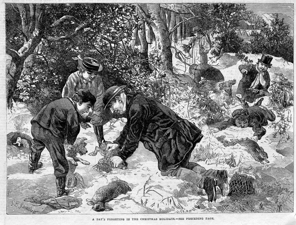 A Day's Ferreting in the Christmas Holidays,  1867.