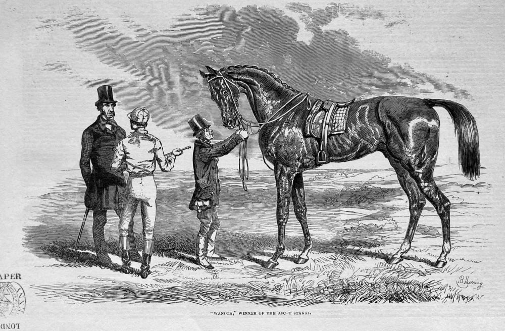 "Wanota,"  Winner of the Ascot Stakes.  1850.