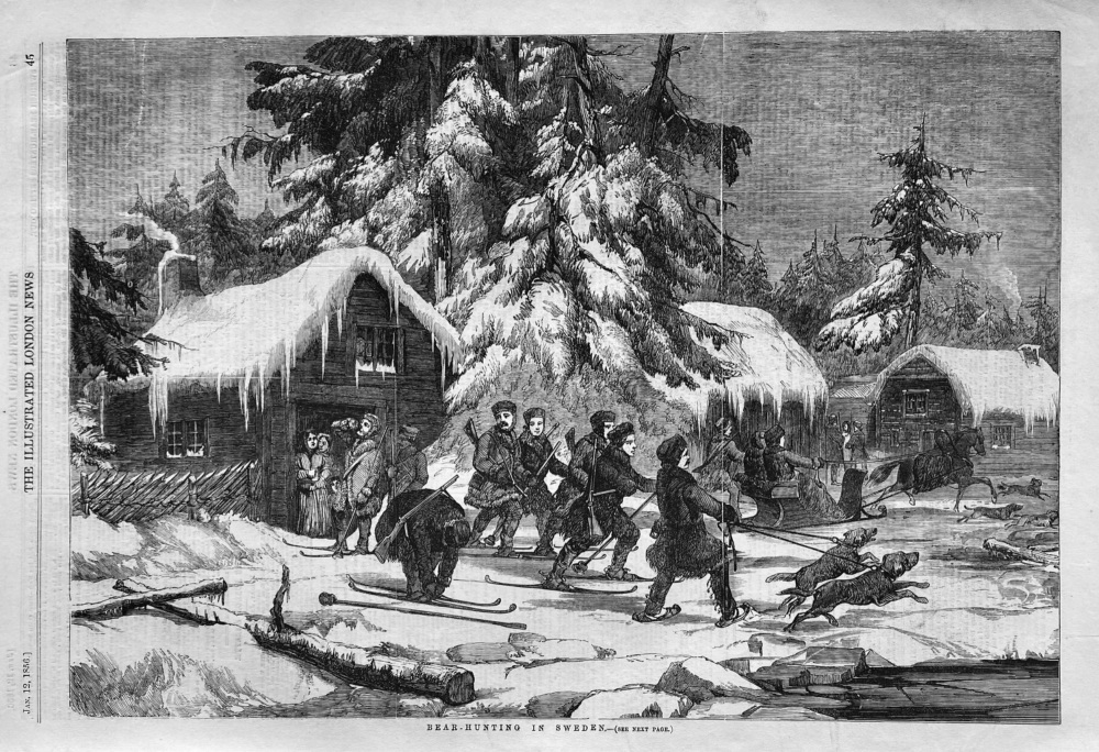 Bear-Hunting in Sweden.  1856.