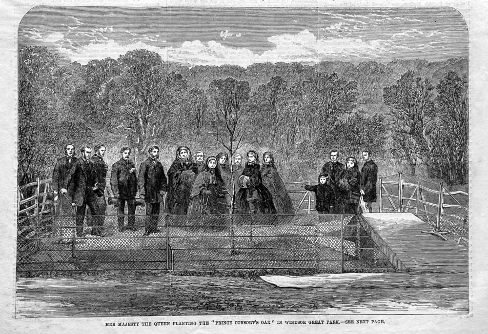 Her Majesty the Queen Planting the "Prince Consort's Oak" in Windsor Great Park. 1862.