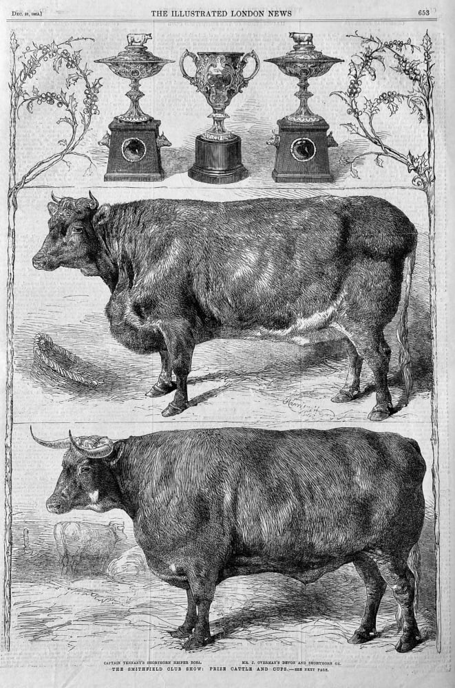 The Smithfield Club Show :  Prize Cattle and Cups.  1862.