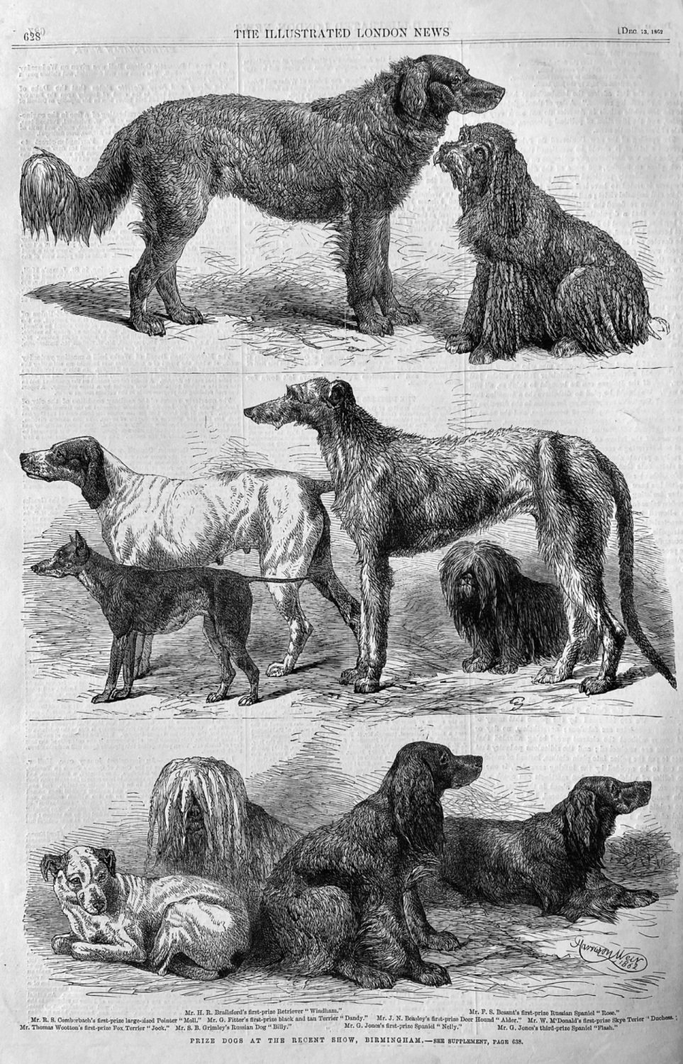 Prize Dogs at the Recent show, Birmingham.  1862.