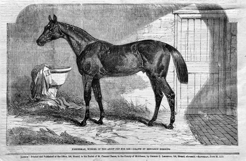 Fisherman, Winner of the Ascot Cup for 1859.