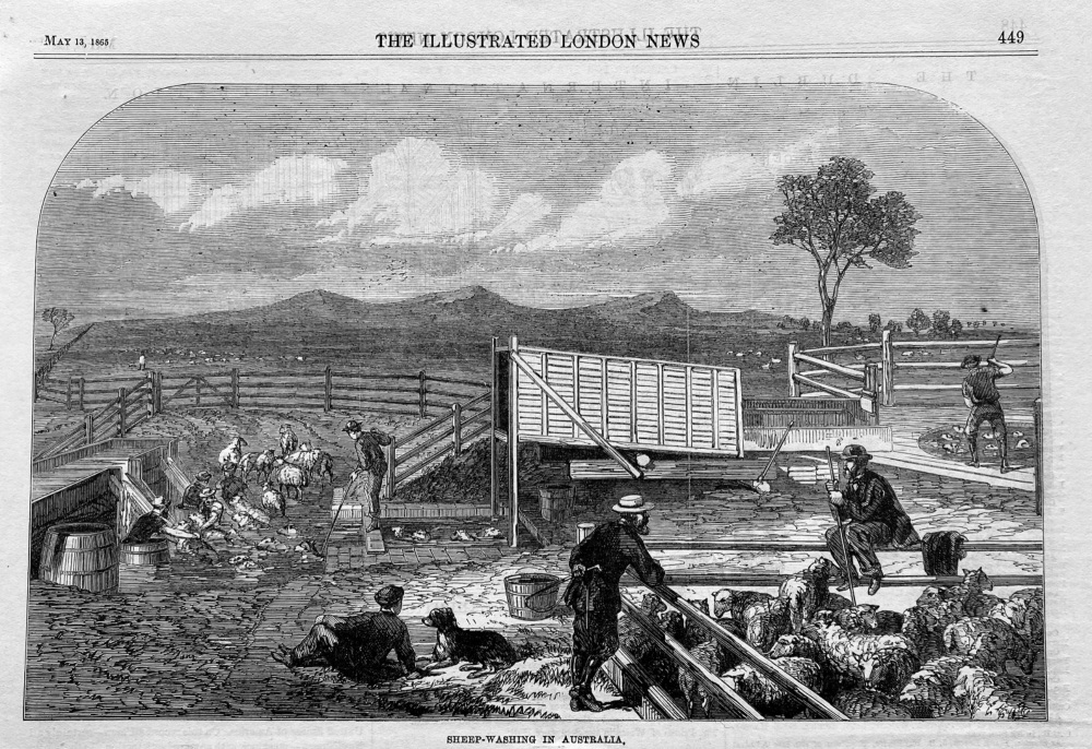 Sheep-Washing in Australia.  1865.