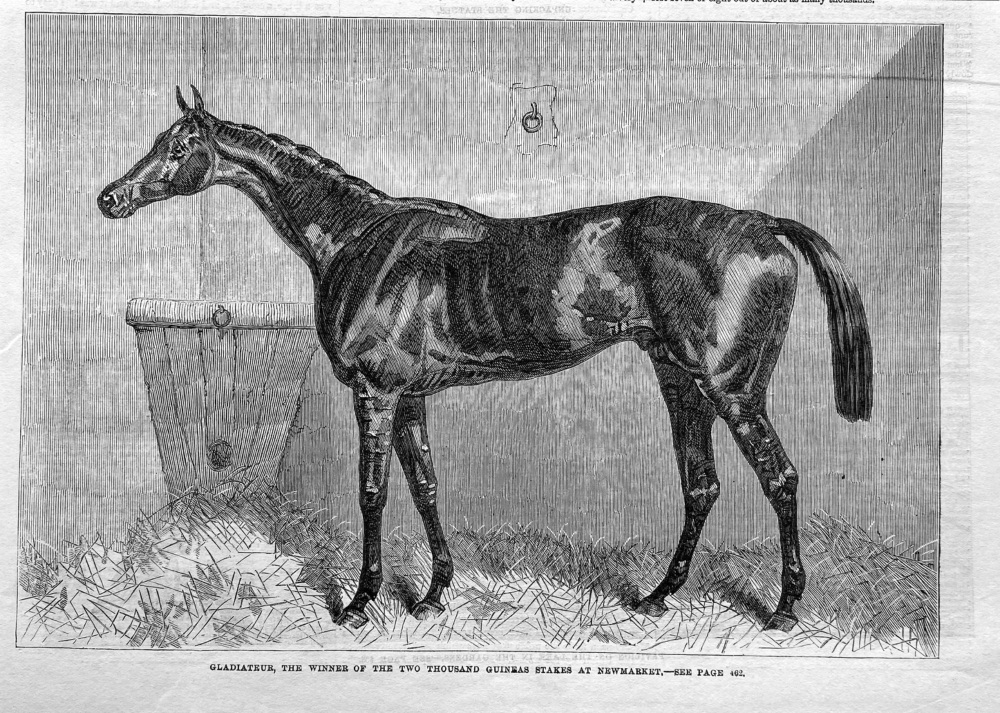 Gladiateur, the Winner of the Two Thousand Guineas Stakes at Newmarket.  1865.