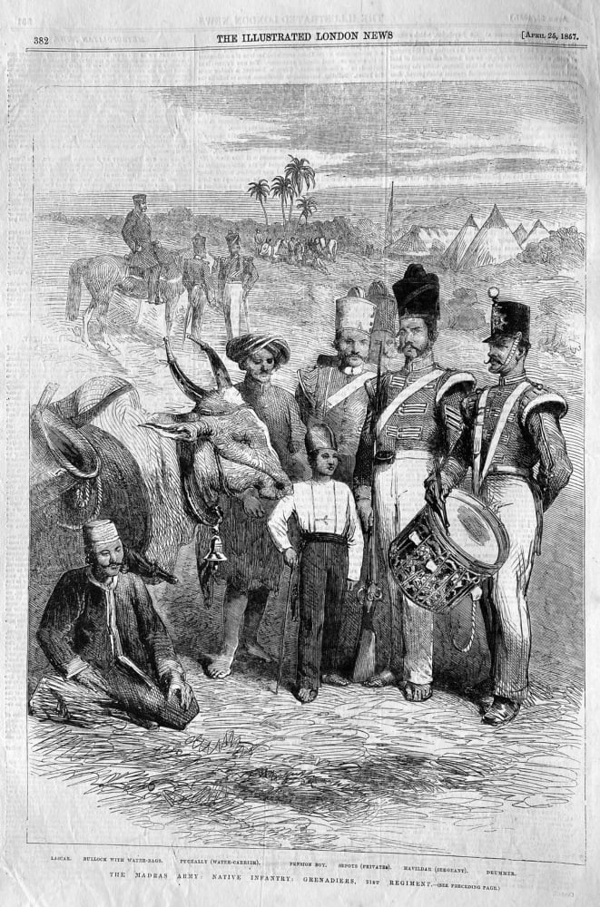 The Madras Army :  Native Infantry : Grenadiers,  21st  Regiment.  1857.