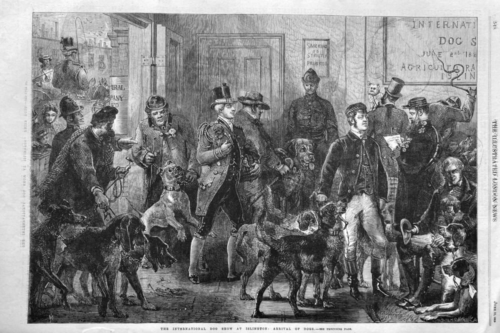 The International Dog Show at Islington :  Arrival of Dogs.  1865.