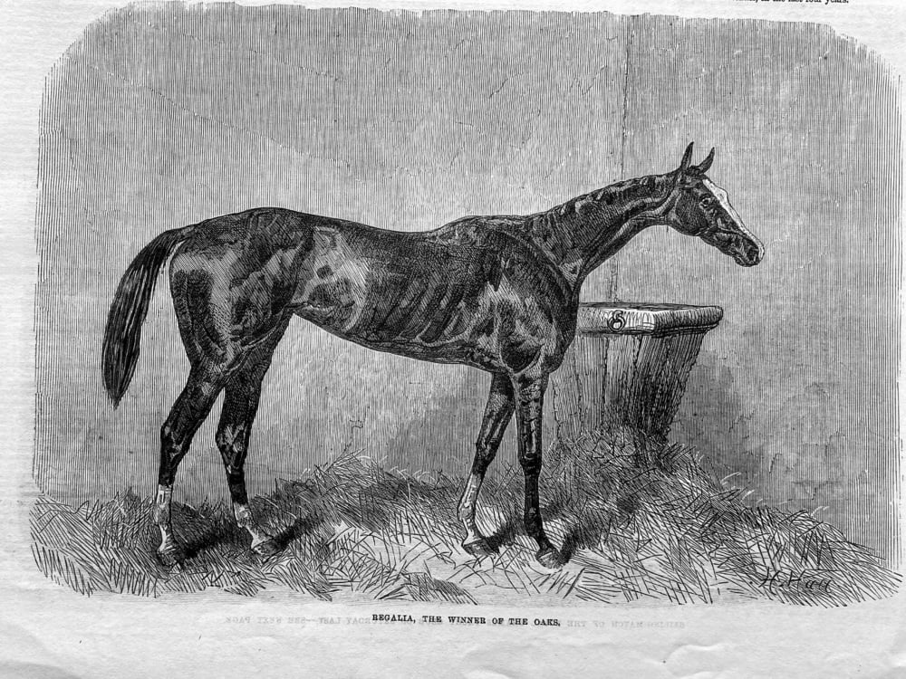 Regalia, the Winner of the Oaks.  1865.