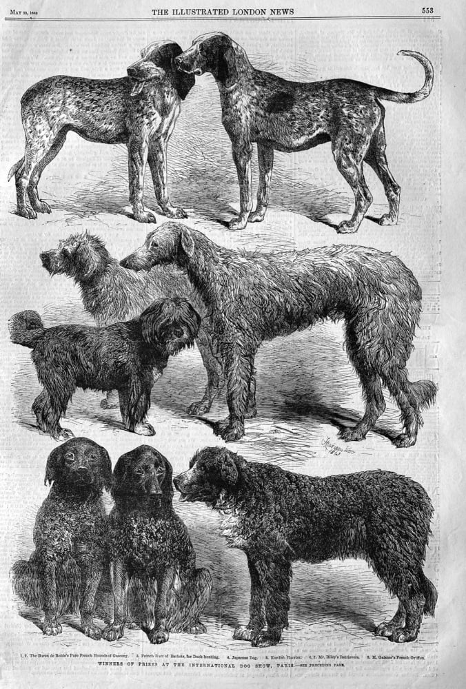 Winners of Prizes at the International Dog Show, Paris.  1863.