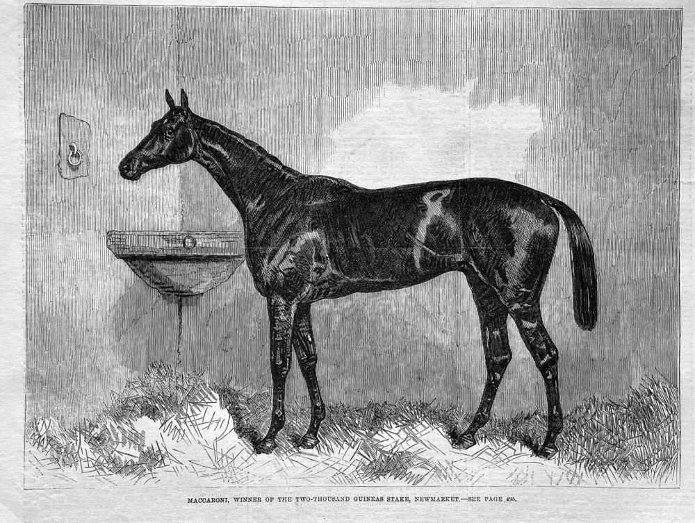 Maccaroni, Winner of the Two-Thousand Guineas Stake, Newmarket.  1863