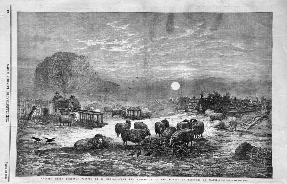 "Winter - Sheep Feeding."  Painted by E. Duncan.-from the Exhibition of the Society of Painters in Water-Colours.  1857.