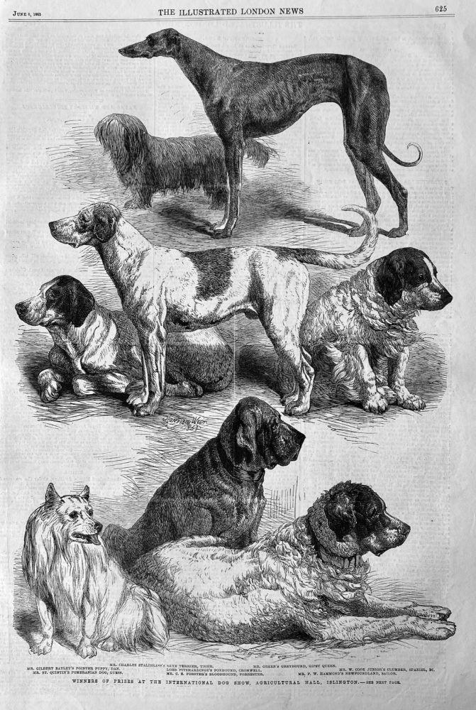 Winners of Prizes at the International Dog Show,  Agricultural Hall, Islington.  1863.