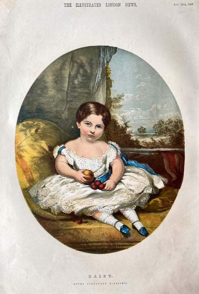 Daisy.  (After Alexander Blaikley.)  1857.