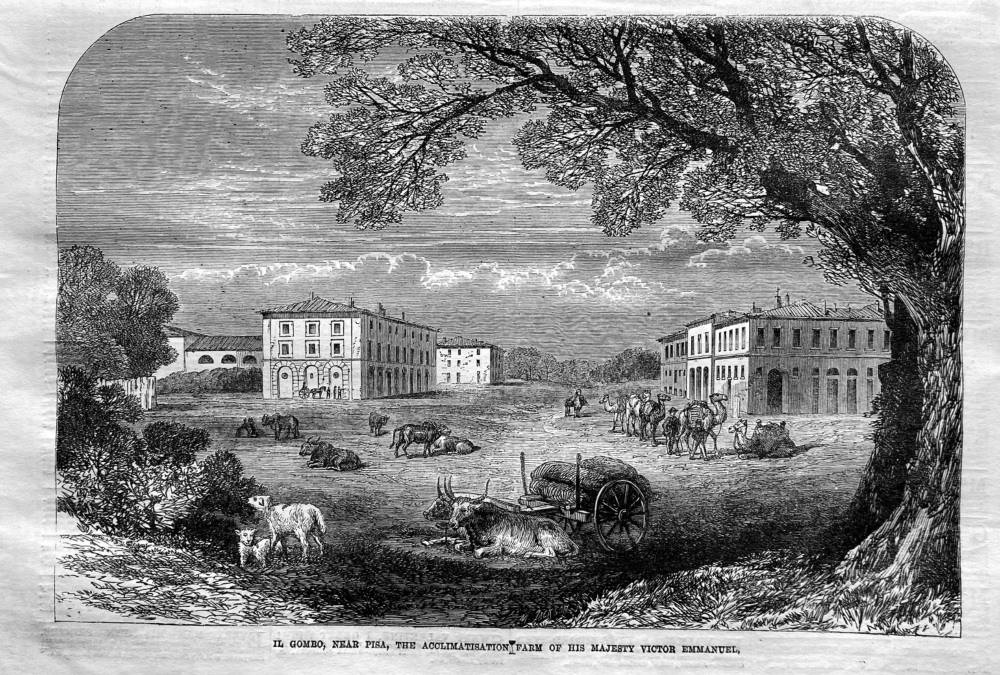 Il Gombo, near Pisa, the Acclimatisation Farm of His Majesty Victor Emmanuel.  1864.
