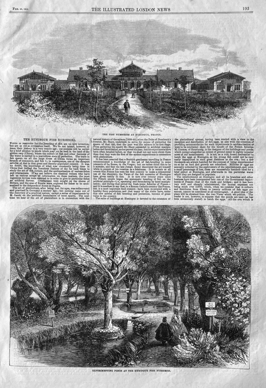 The Huningue Fish Nurseries.  1864.