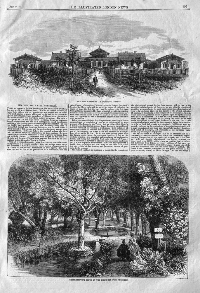 The Huningue Fish Nurseries.  1864.