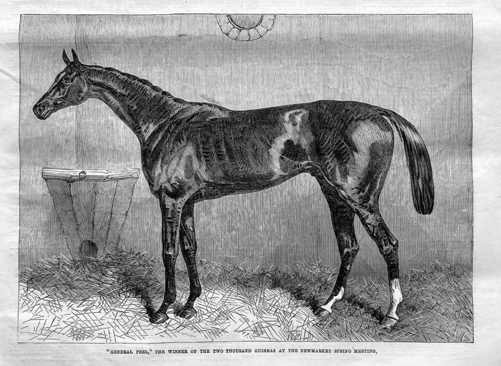 "General Peel,"  The Winner of the Two Thousand Guineas at the Newmarket Spring Meeting.  1864.