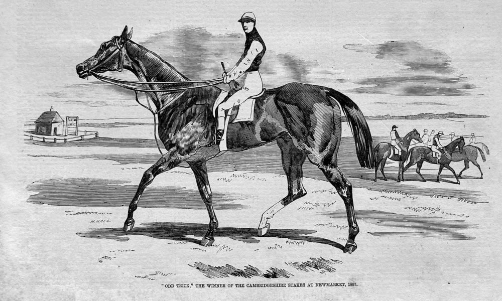 "Odd Trick," the Winner of the Cambridgeshire Stakes at Newmarket,  1857.