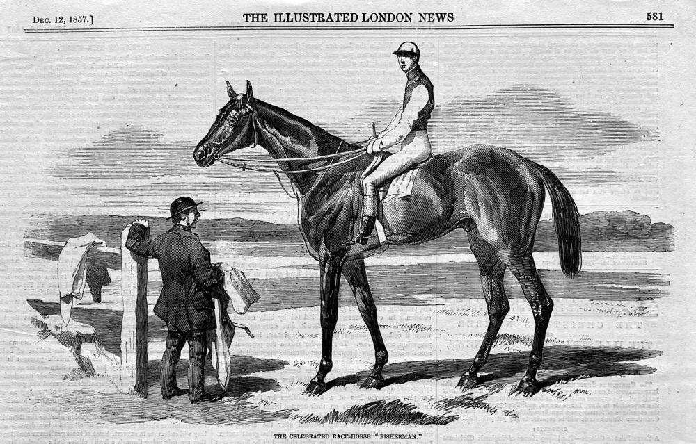 The Celebrated Race-horse  "Fisherman."  1857.