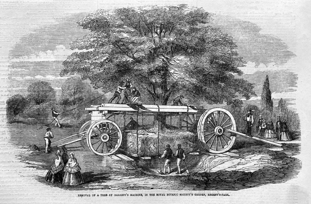 Removal of a Tree by Barrett's Machine, in the Royal Botanic Society's Garden, Regent's-Park. 1855.