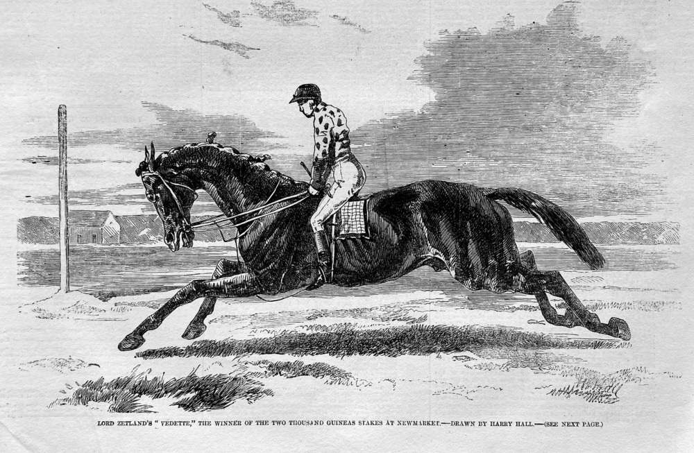 Lord Zetland's  "Vedette,"  The Winner of the Two Thousand Guineas Stakes at Newmarket.- Drawn by Harry Hall.  1857.