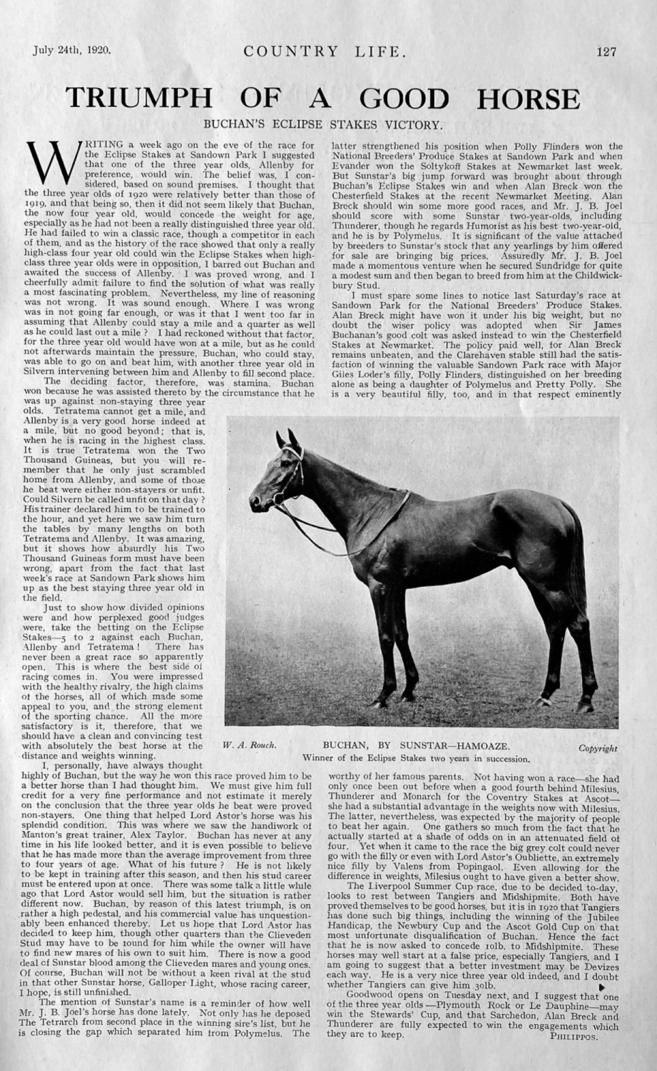 Triumph of a Good Horse. :  Buchan's Eclipse Stakes Victory.  1920.