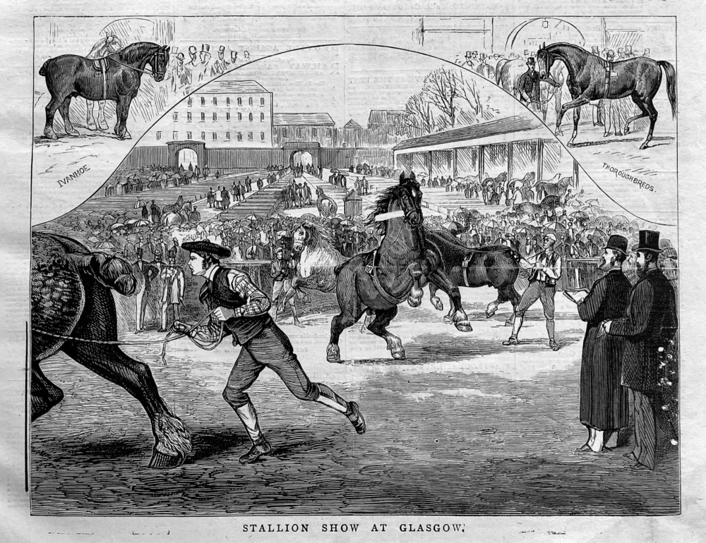Stallion Show at Glasgow.  1878.