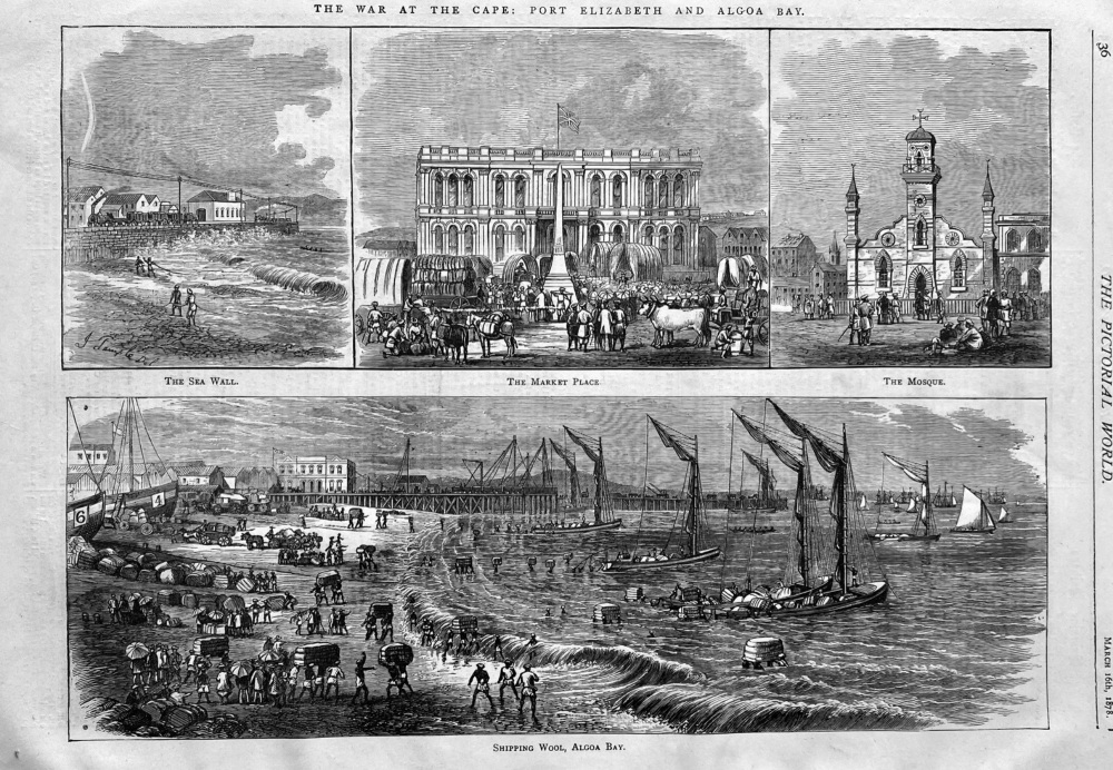 The War at the Cape :  Port Elizabeth and Algoa Bay.  1878.
