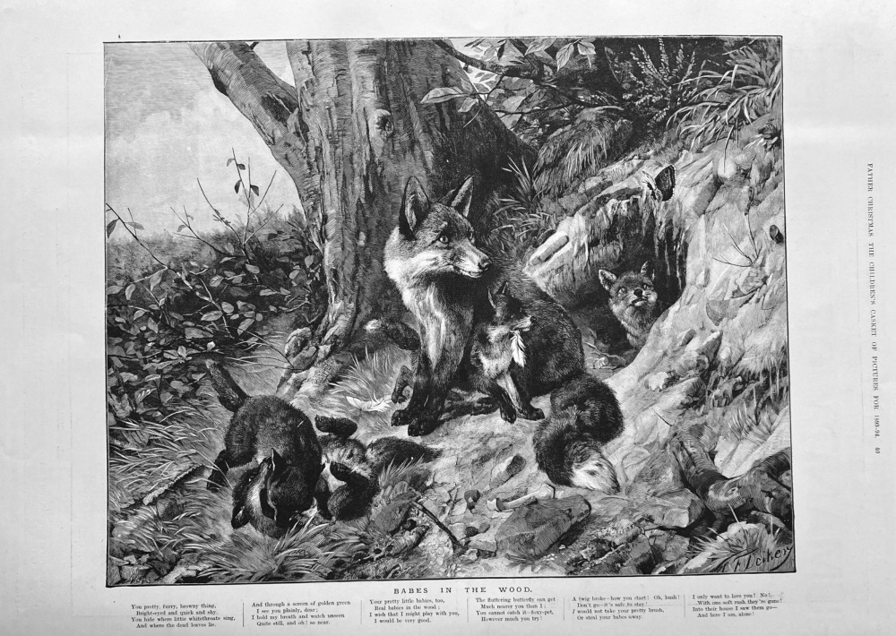 Babes in the Wood.  1893.