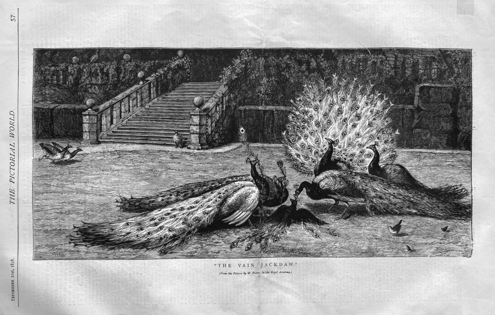 "The Vain Jackdaw."  1878.