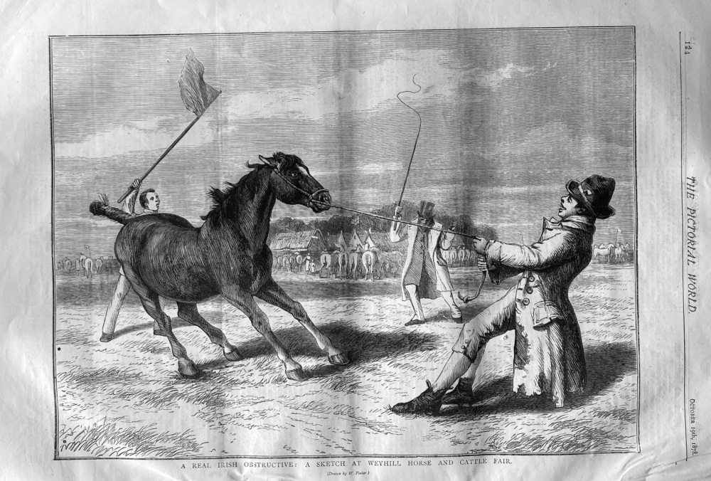 A Real Irish Obstructive :  A Sketch at Weyhill Horse and Cattle Fair.  1878.