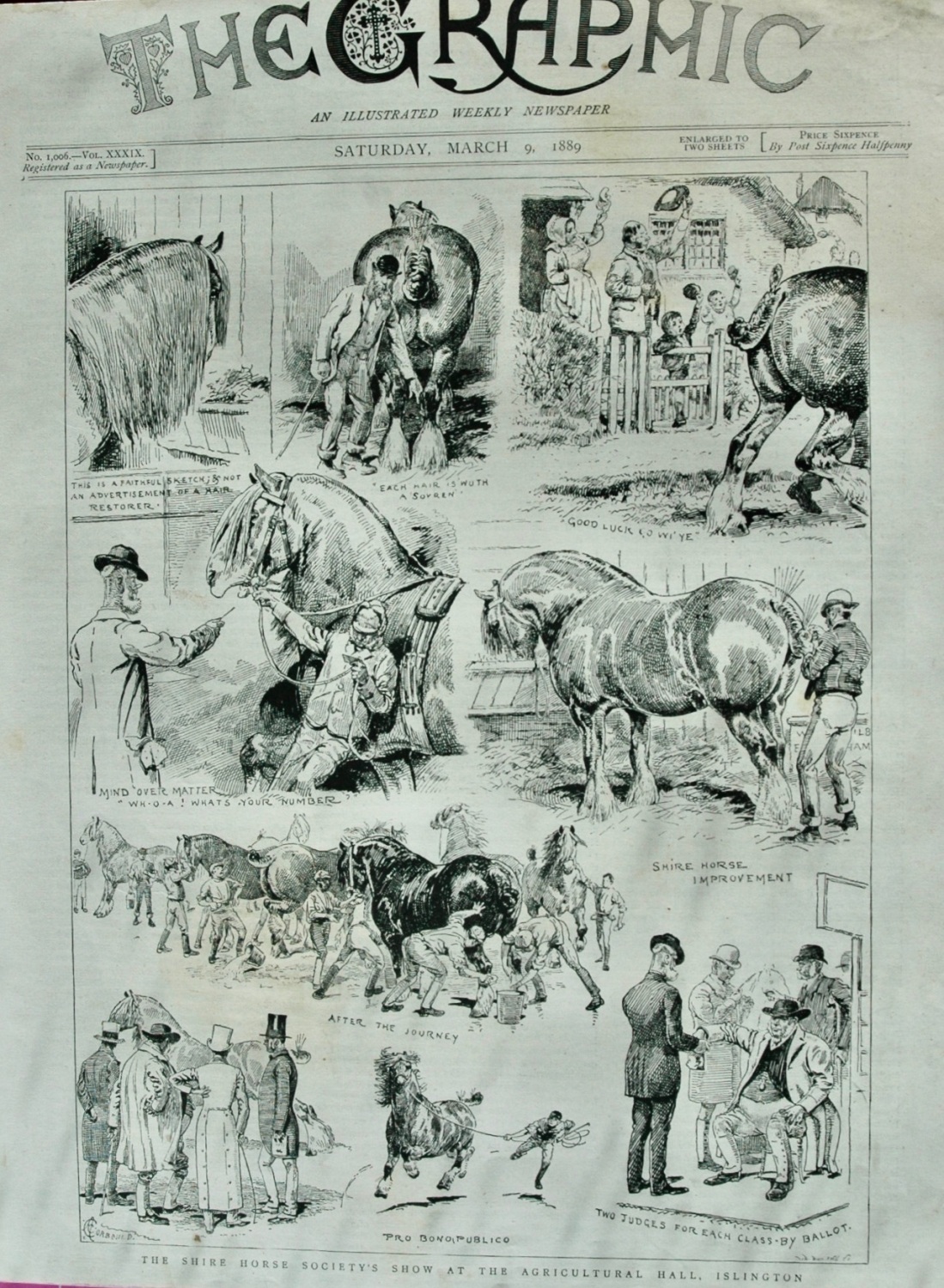 The Shire Horse Society's Show - 1889