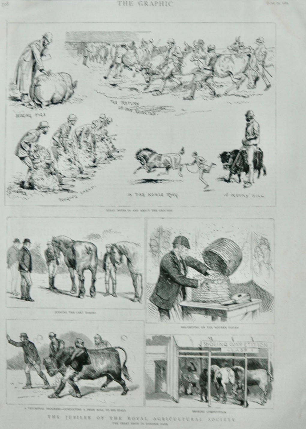 The Jubilee of the Royal Agricultural Show - 1889