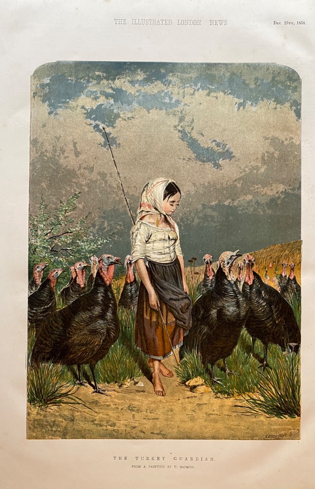 The Turkey Guardian - 1858