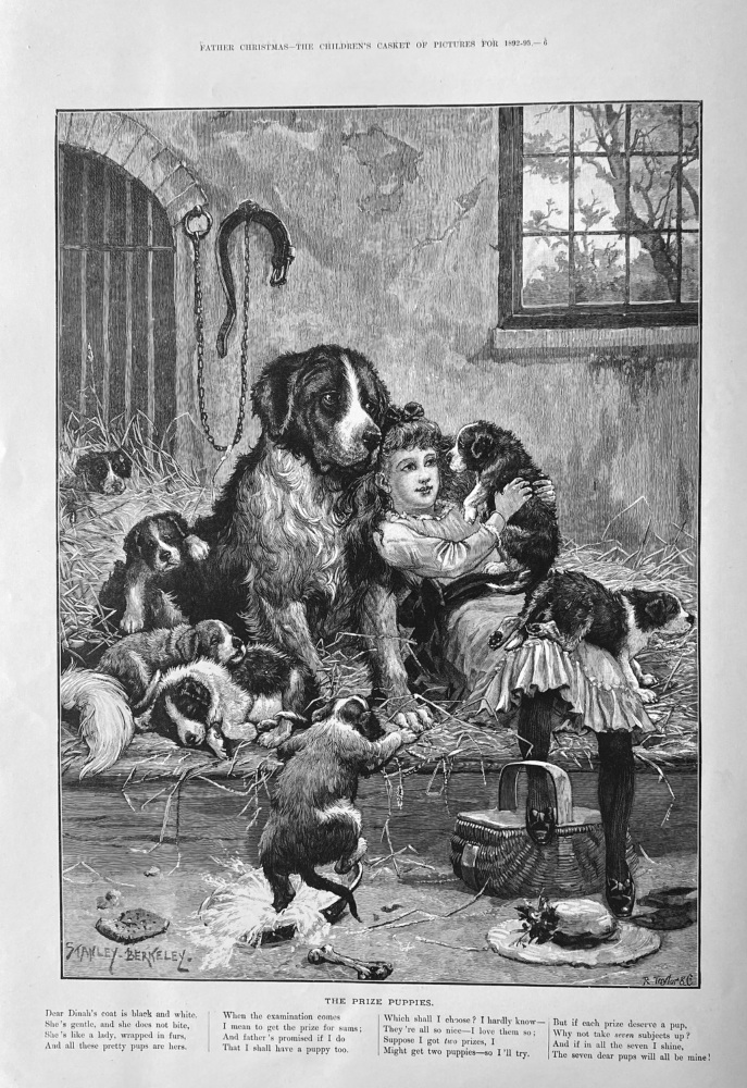 The Prize Puppies.  1892-93.