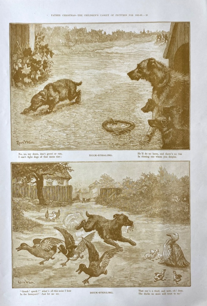 Duck - Stealing. 1892-93.