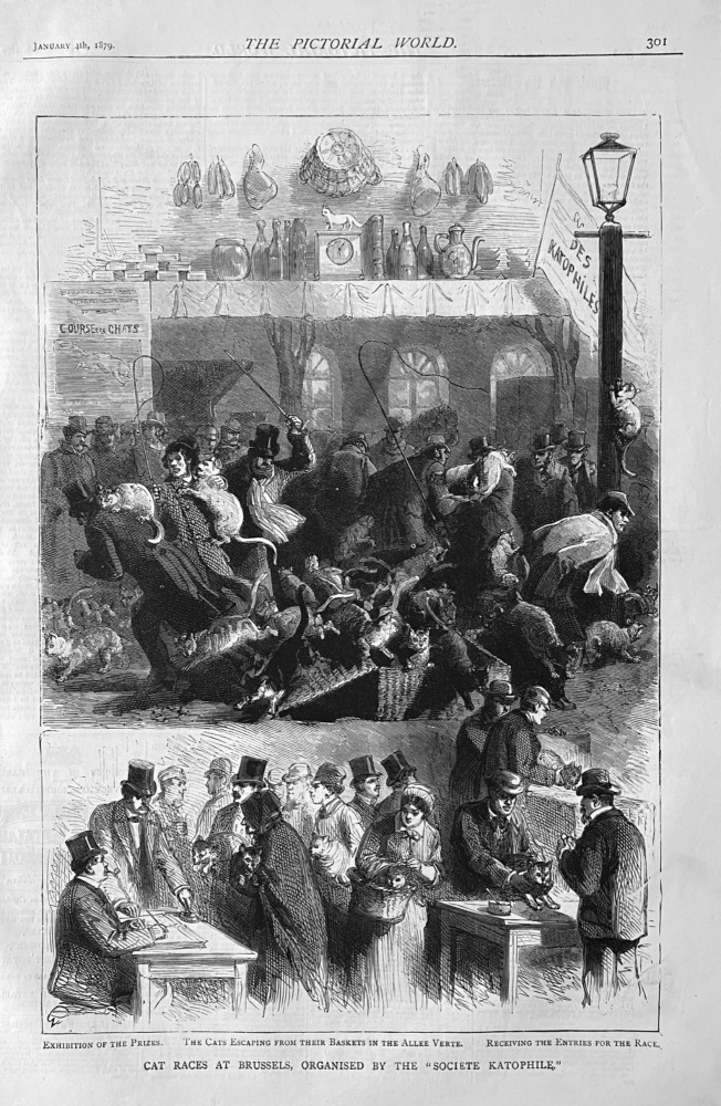 Cat Races at Brussels, Organised by the "Society Katophile."  1879.