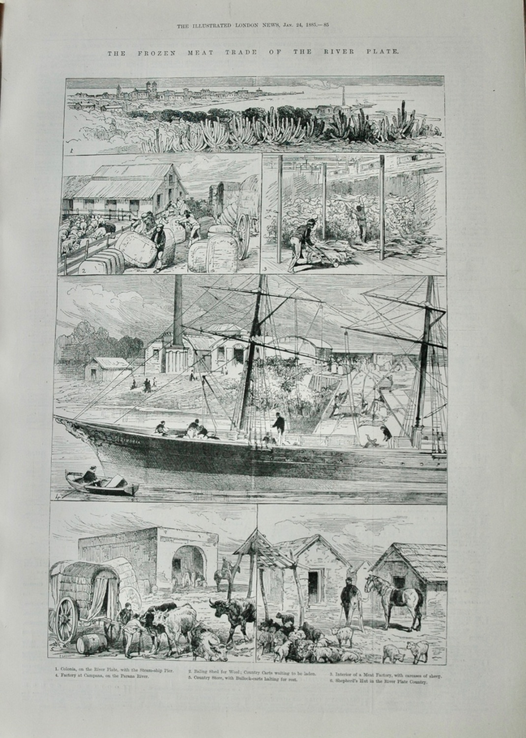 The Frozen Meat Trade of the River Plate - 1885